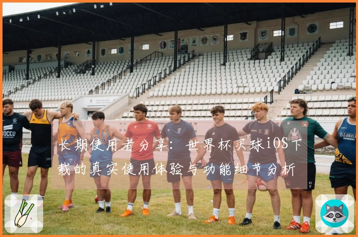 长期使用者分享：世界杯买球iOS下载的真实使用体验与功能细节分析