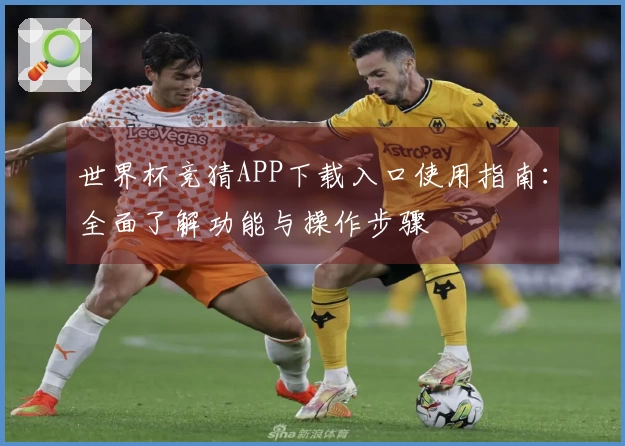 世界杯竞猜APP下载入口使用指南：全面了解功能与操作步骤