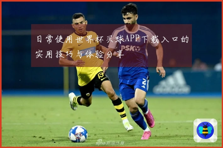 日常使用世界杯买球APP下载入口的实用技巧与体验分享