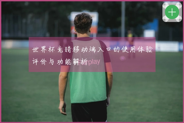 世界杯竞猜移动端入口的使用体验评价与功能解析